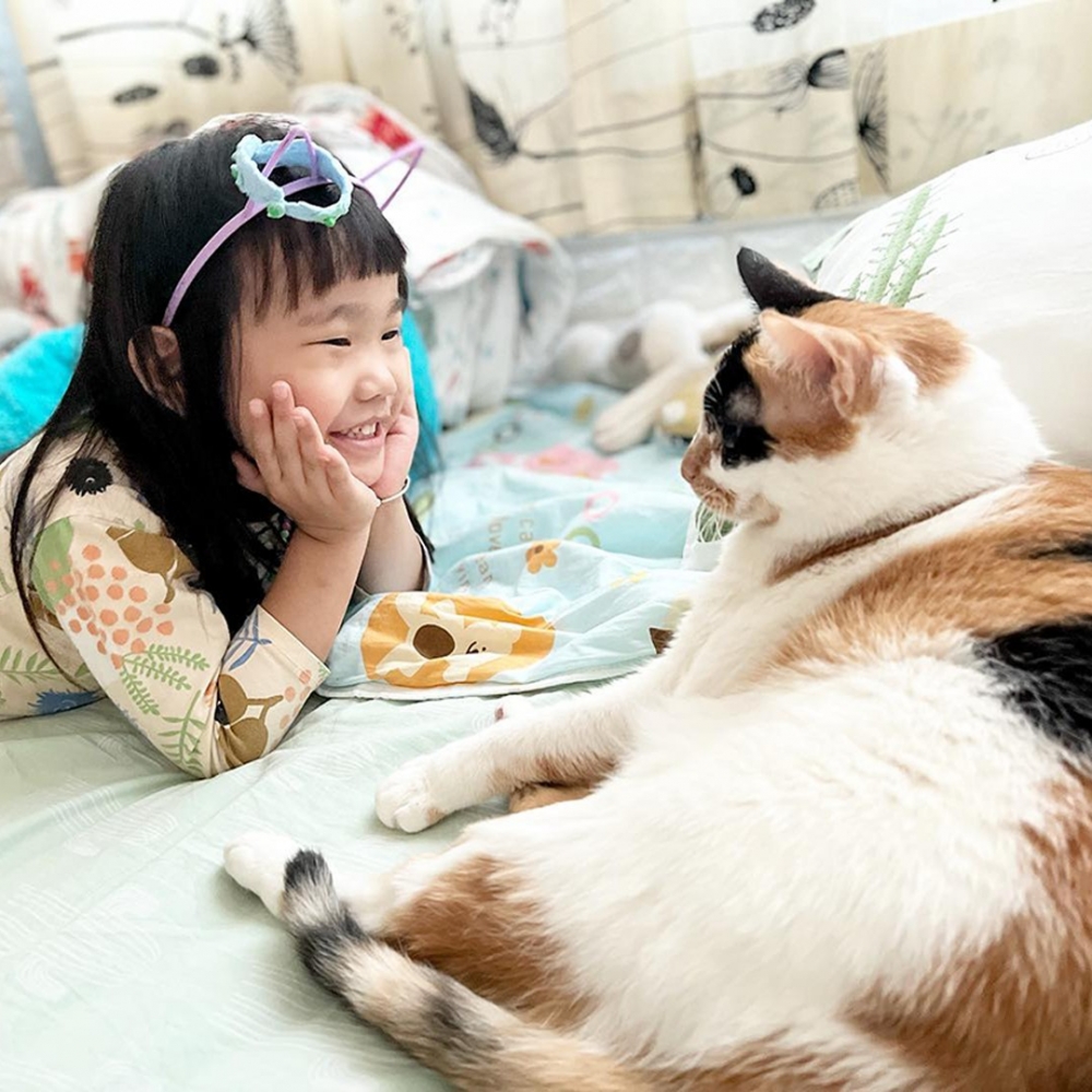 小奴才：「我跟你說哦～今天呀······」