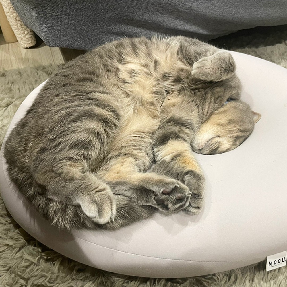 奴才：「等下就要和這顆頭說bye bye了」