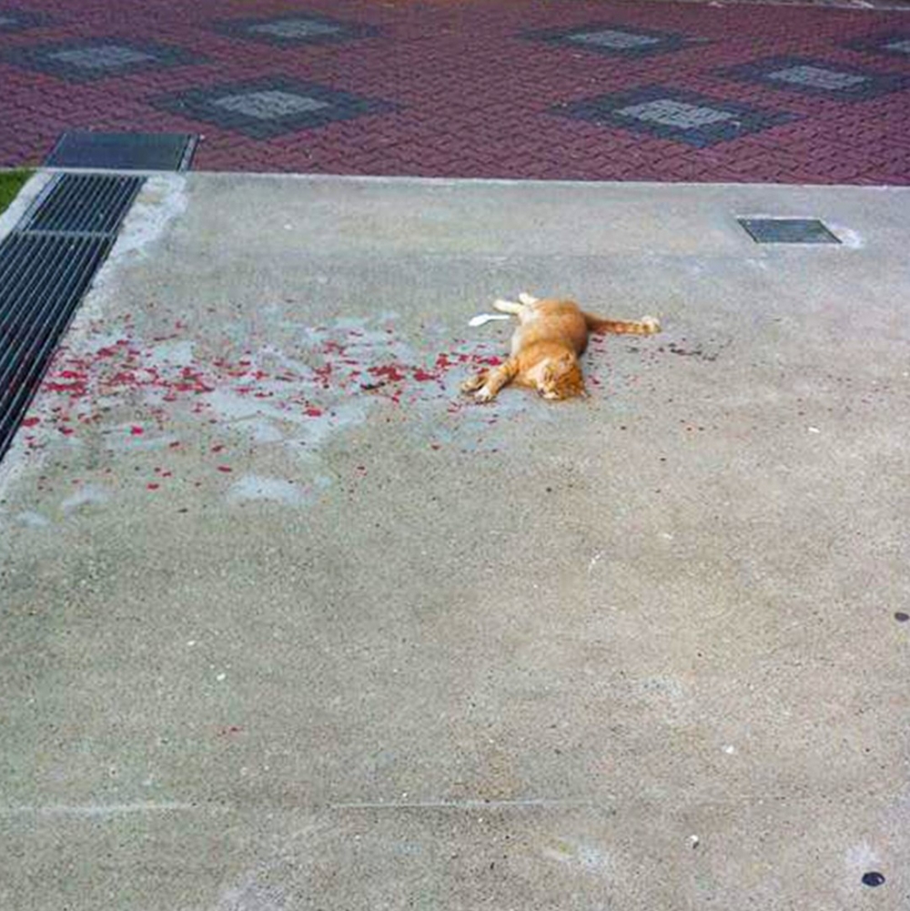 嚇呆奴才的一幕