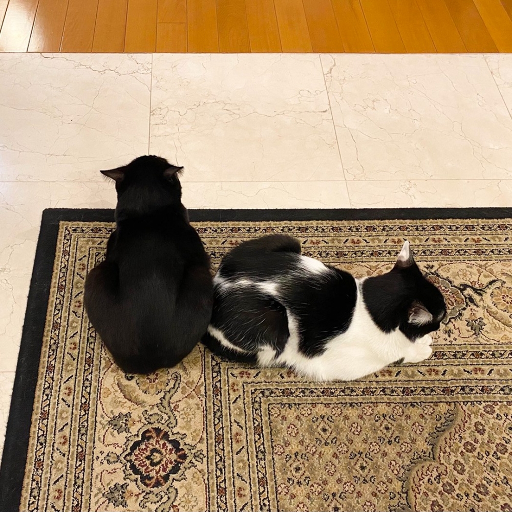 奴才：「這是什麼神奇的秘術？」