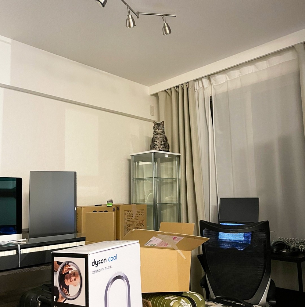 喵：「朕建議你不要過來，要不然你會怕！」