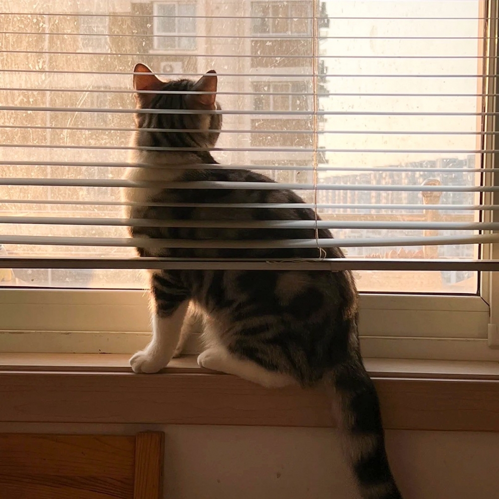 再轉個90度回去看風景了～