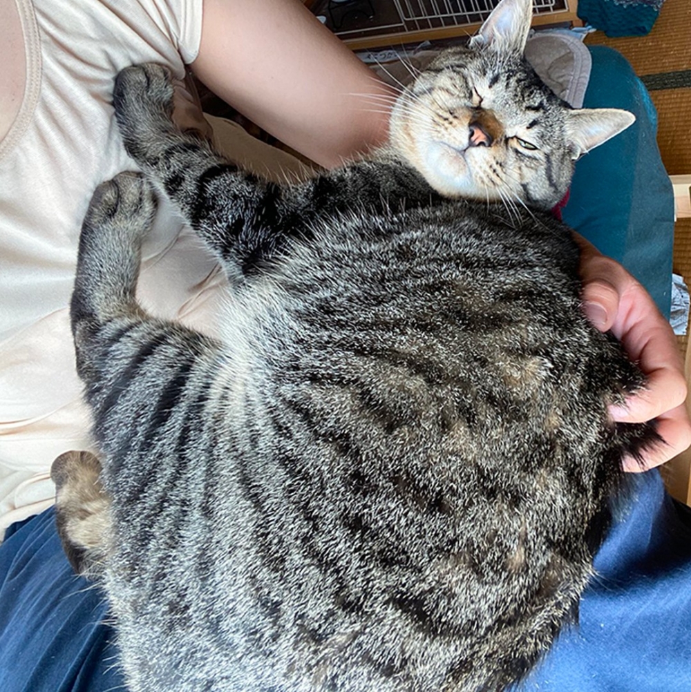 奴才：「主子好沈···睡得也好沈」