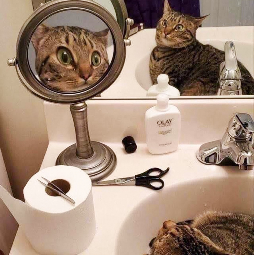 奴才：「你長這樣，又不長這樣～」