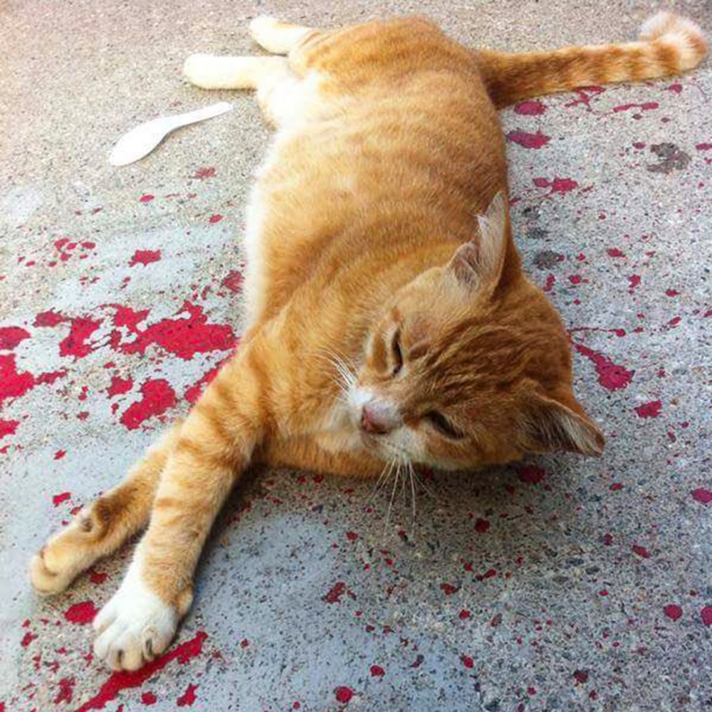 奴才：「好像哪裡不對勁」