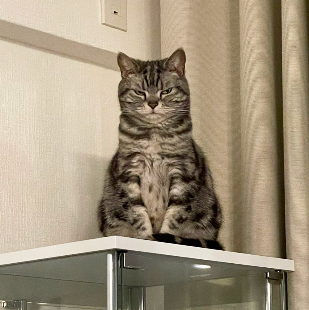 感覺周圍有黑暗物質冒出來了?