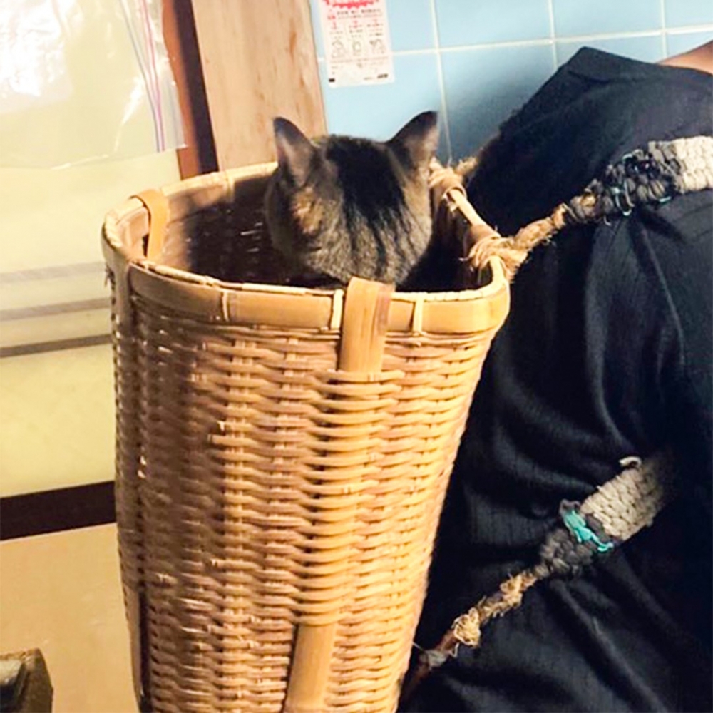 網：「超圓的小腦袋！可愛啦❤️」