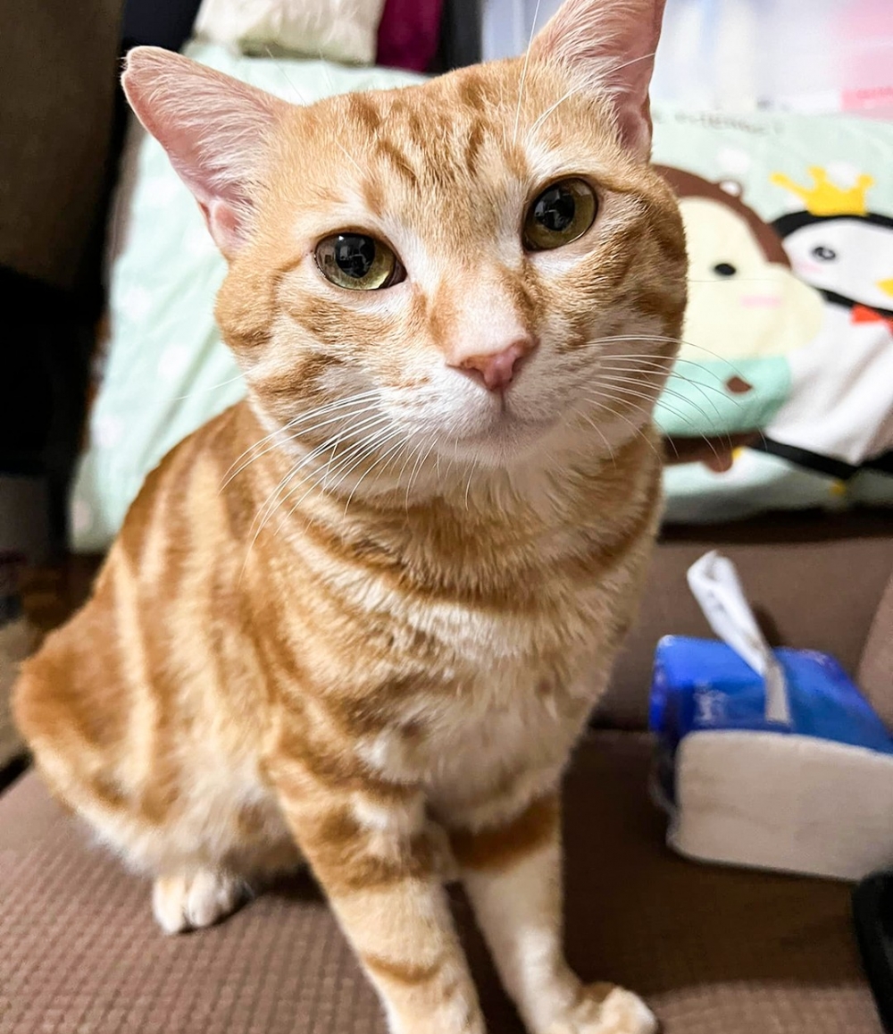 永遠都充滿愛意的愛心眼神~