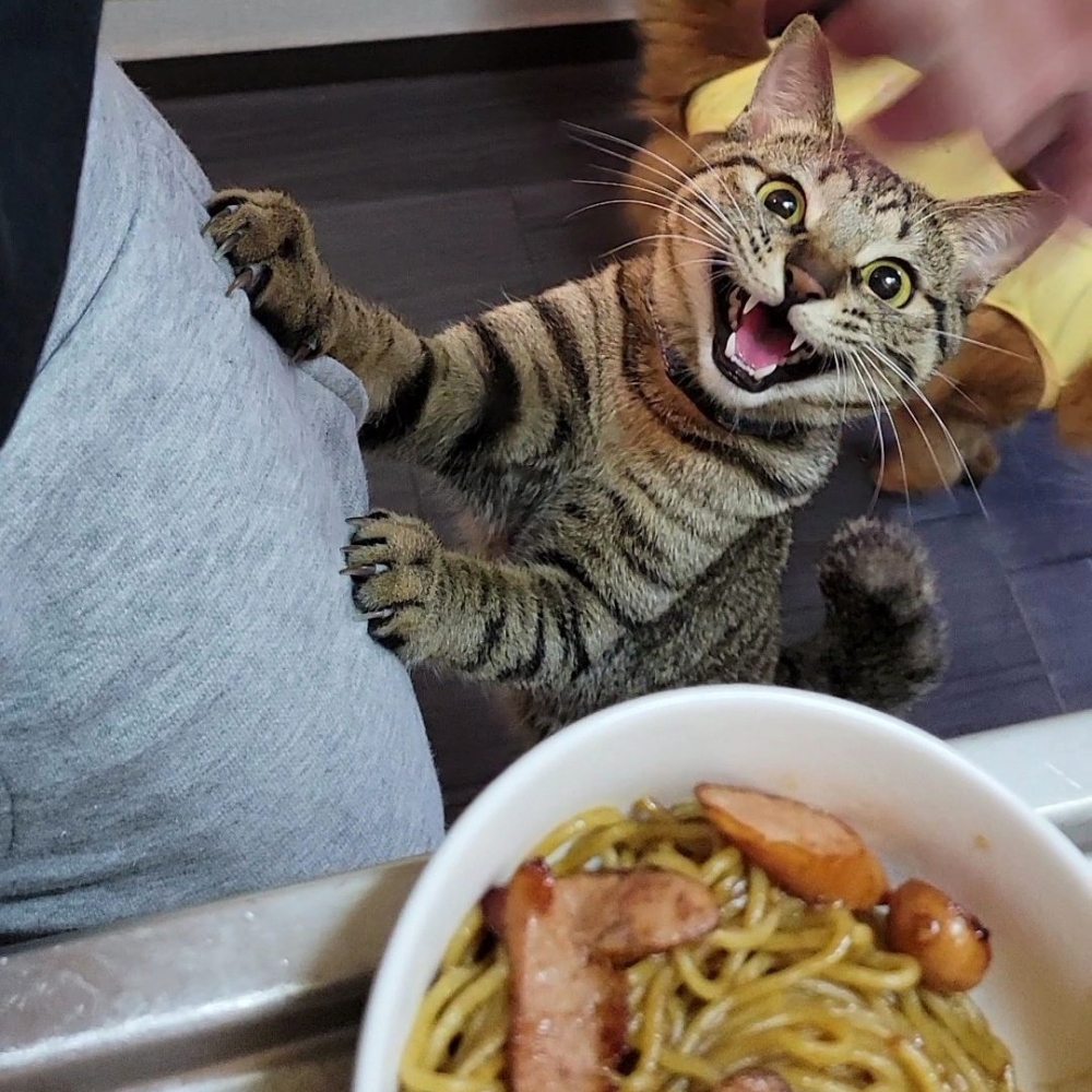 奴才：「殺氣騰騰···好恐怖」