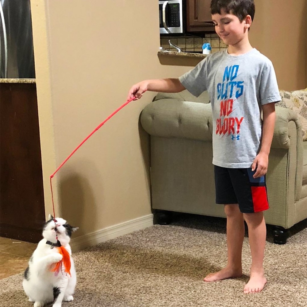 逗貓、鏟貓砂、喂幹幹，都一手包辦的小奴才！