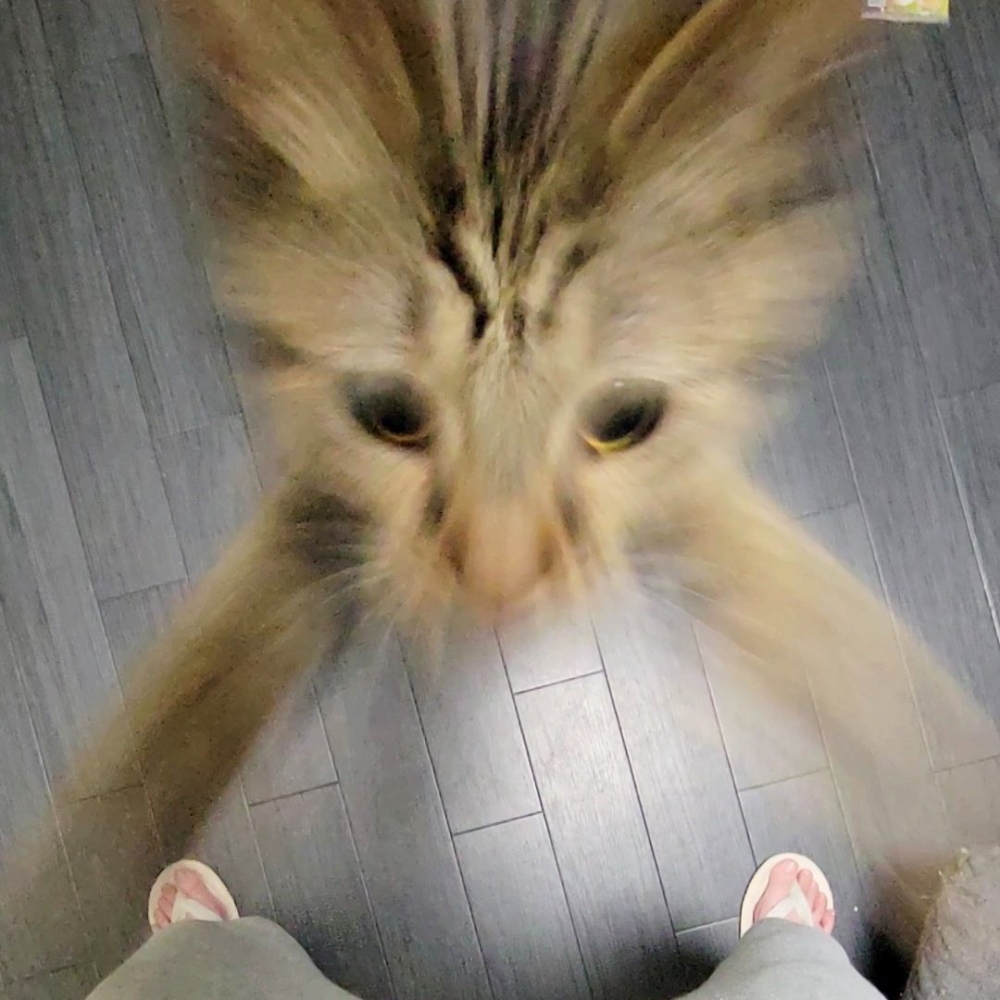 奴才:「再見了美麗的世界~~」