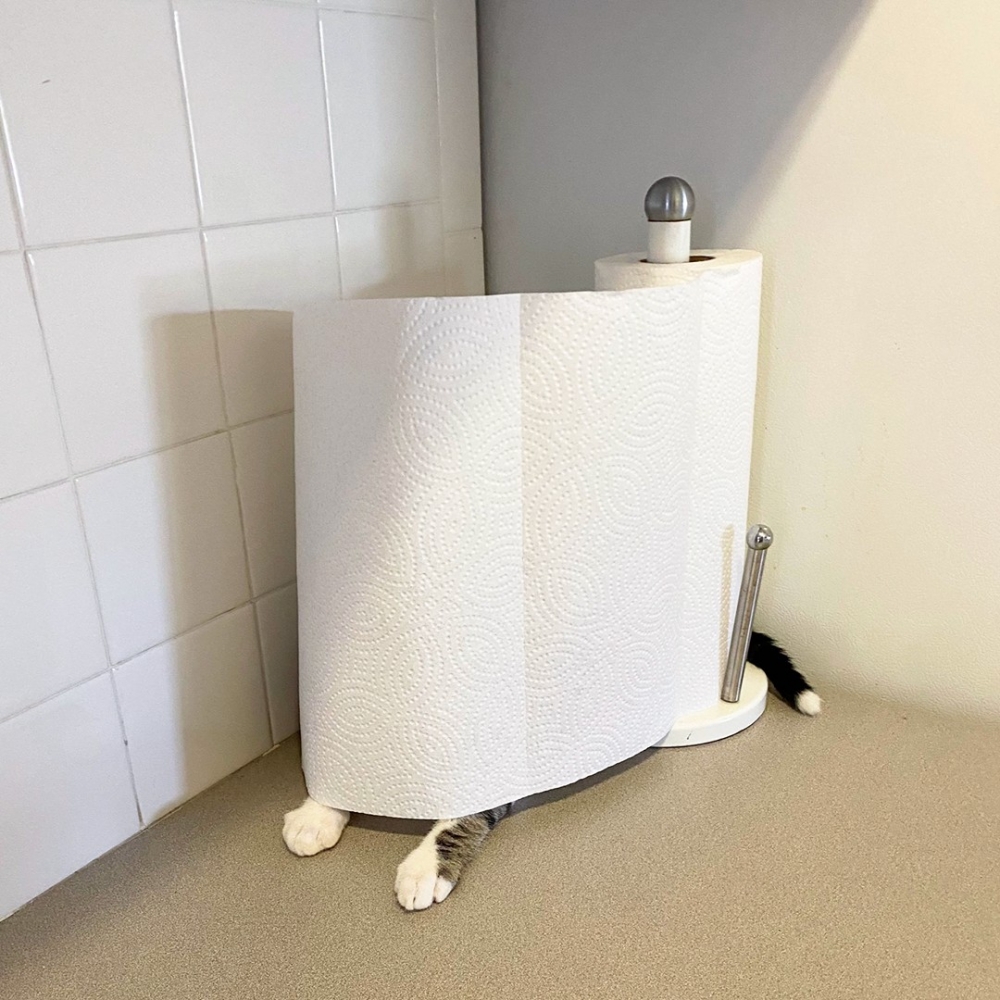 家裡的物件又長腳了XD