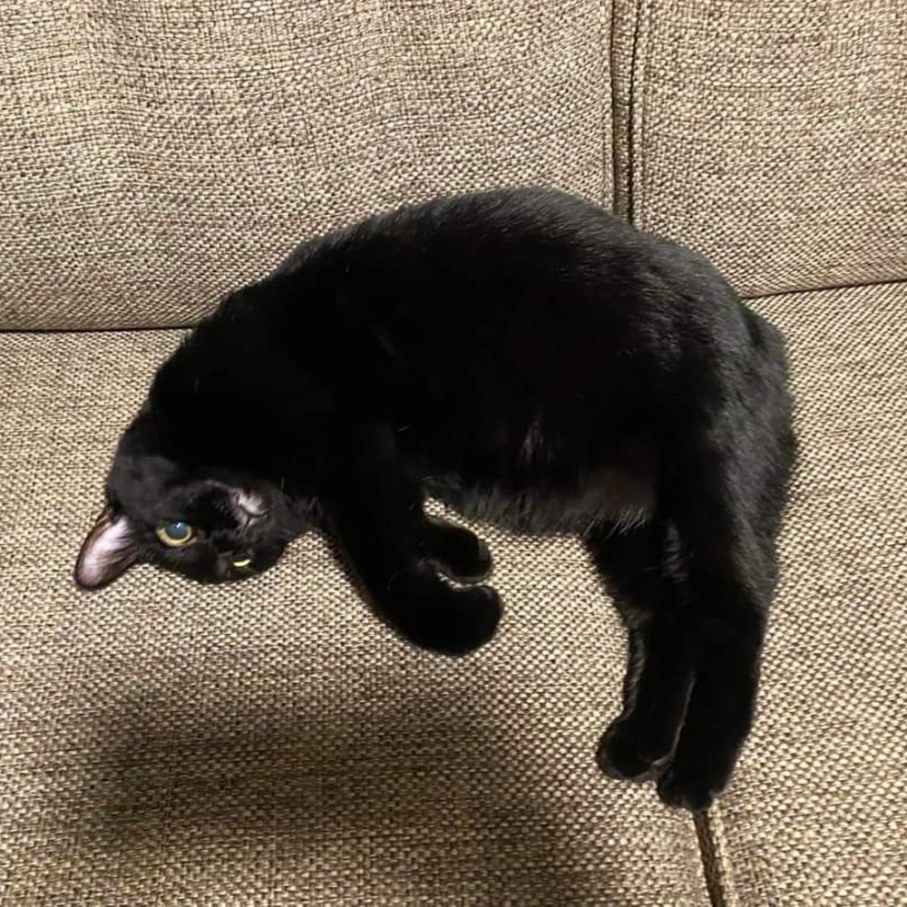 地心引力：「不是我的鍋。甩！」