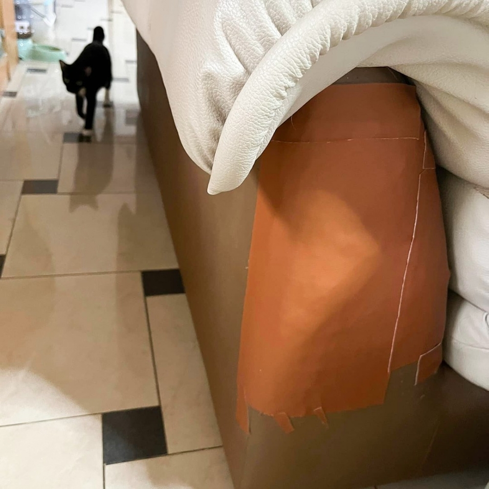 沙發：「窩又活了！！！」