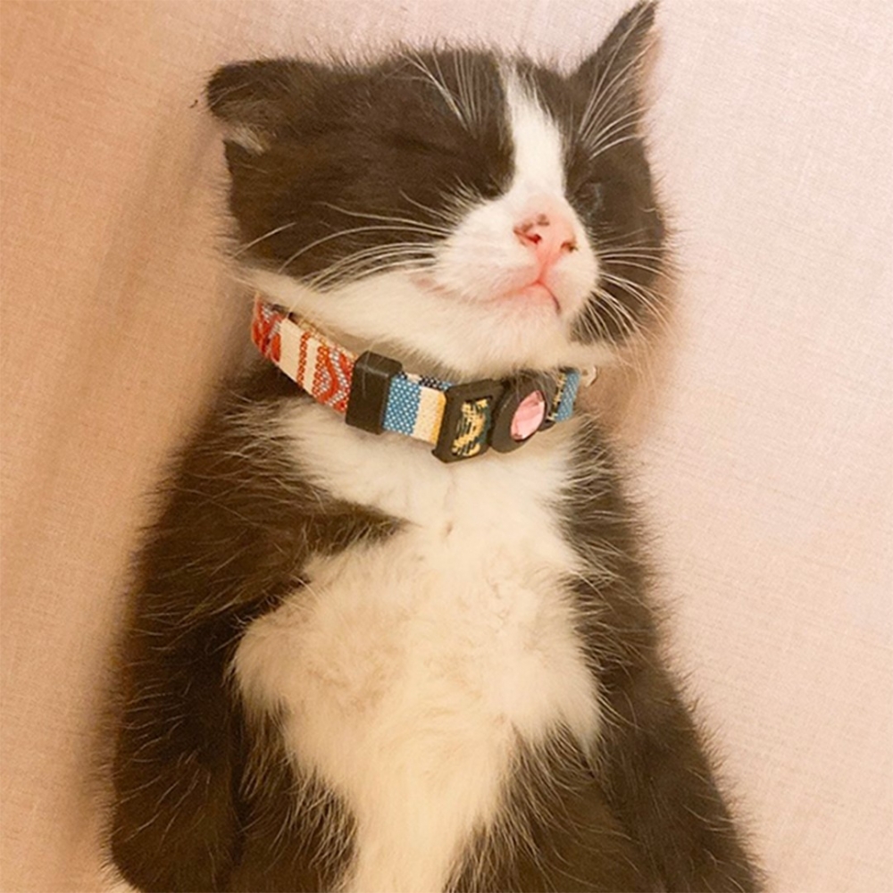 奴才：「睡得超級！甜！啊！」