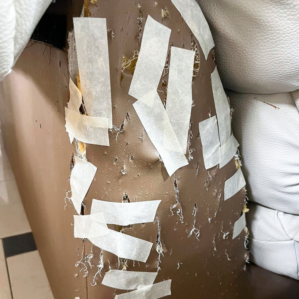 沙發：「窩有救了QAQ」