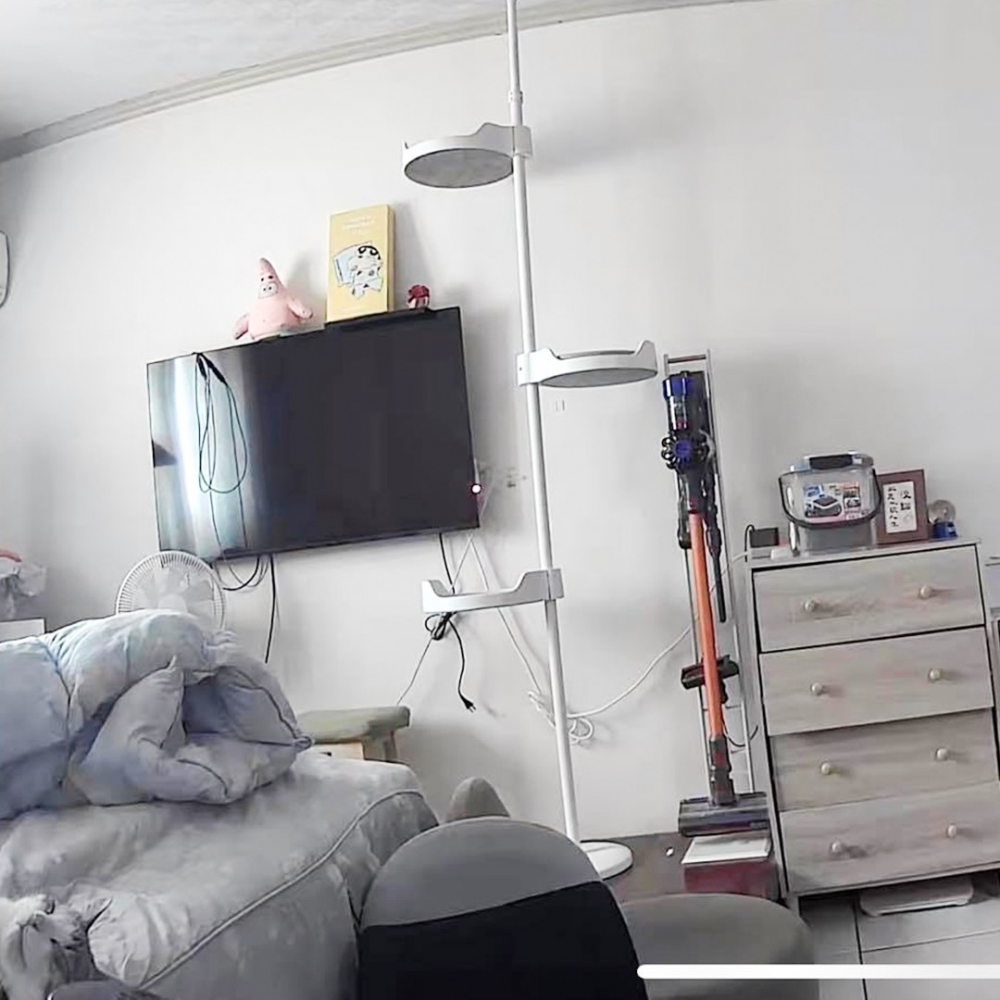 奴才（急）：「我的貓呢？！」