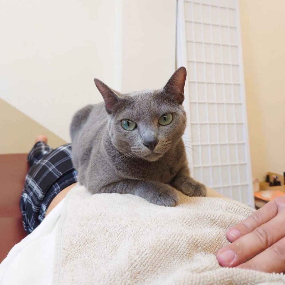 喵：「滿意的話，記得5星好評噢～」