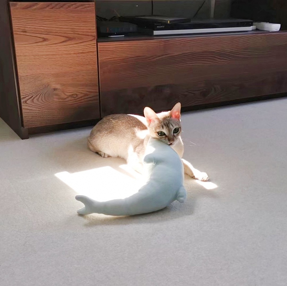 奴才：「我們家還長公仔了XD」