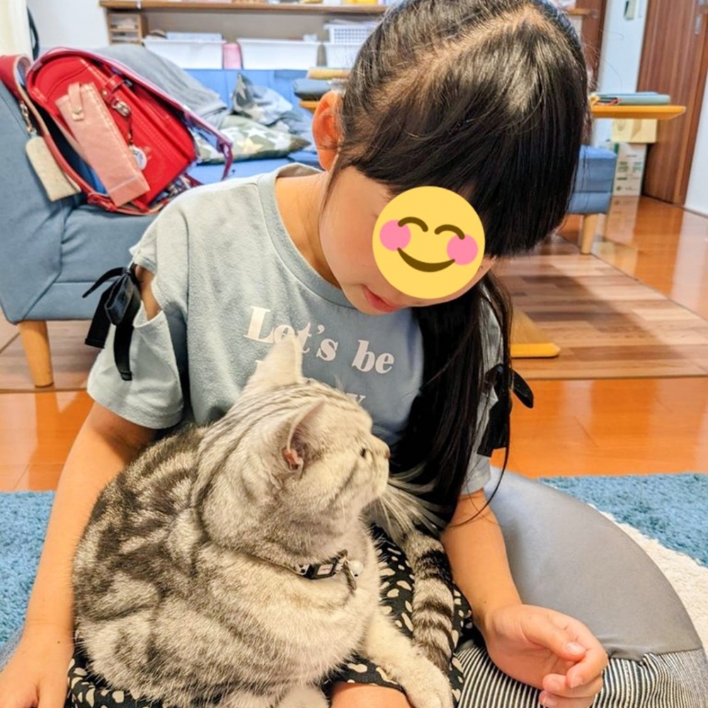 喵:「沒錯啦~寫什麼作業呀!吼」