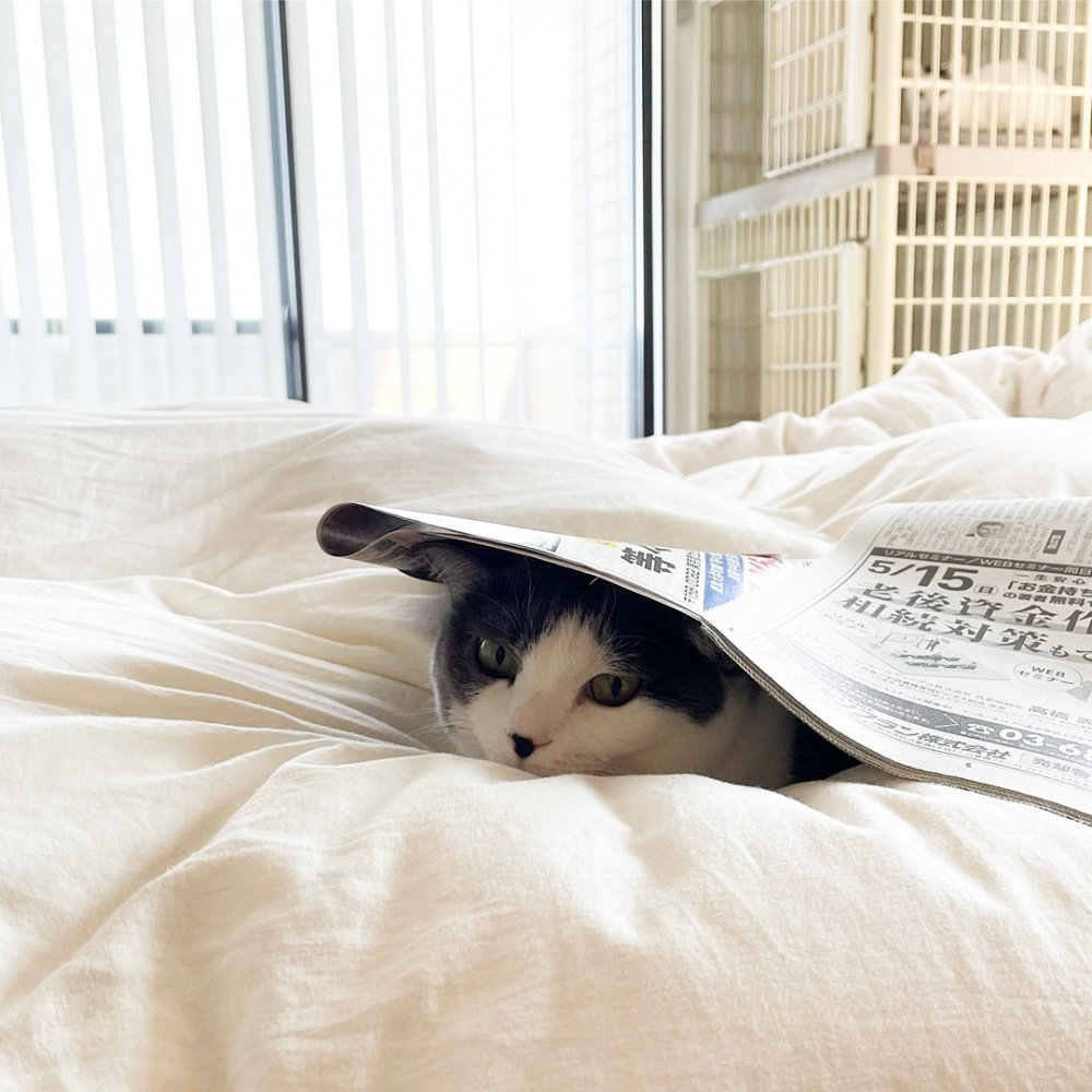 從內到外拒絕抱抱，奴才：哭啊！