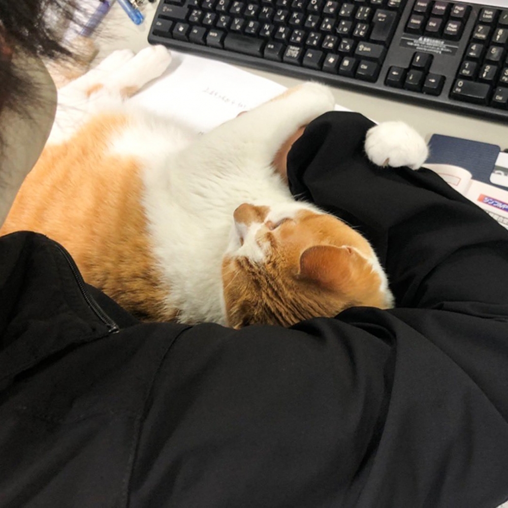 因抱著睡而間接妨礙公務，蹲局子確定！