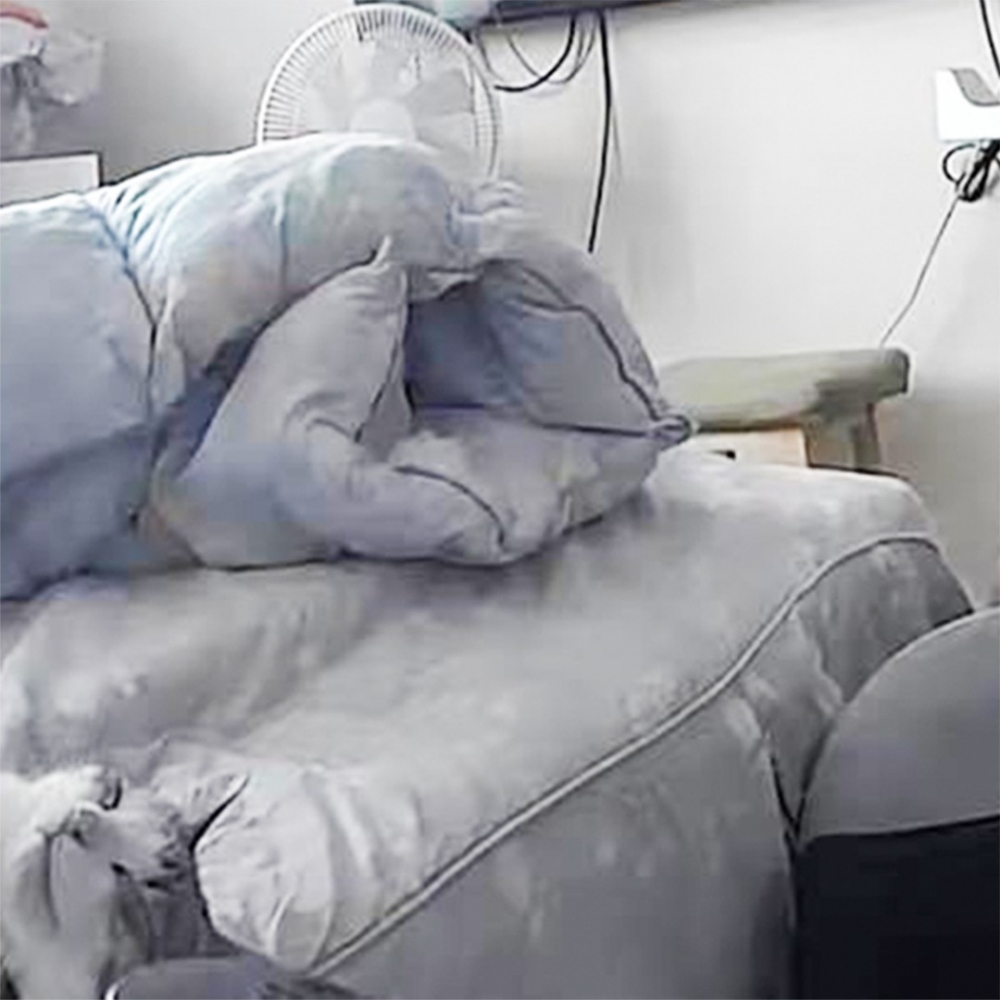 夢到了100+罐罐的幸福睡顏