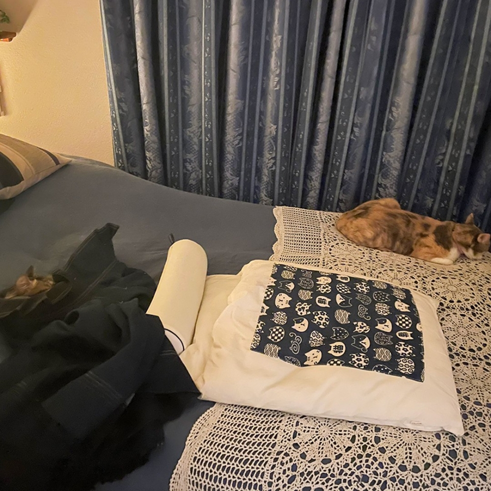 奴才：「晚安···那我今晚睡哪裡？！」