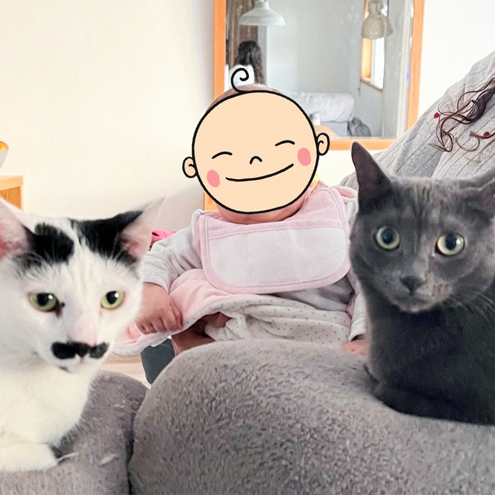 奴才：「交給你們啦～要加油呀！」