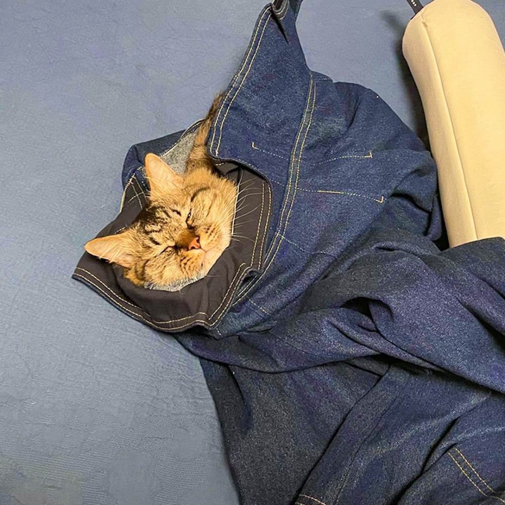 喵：「怎樣？這是你不收衣服的鍋唷～」