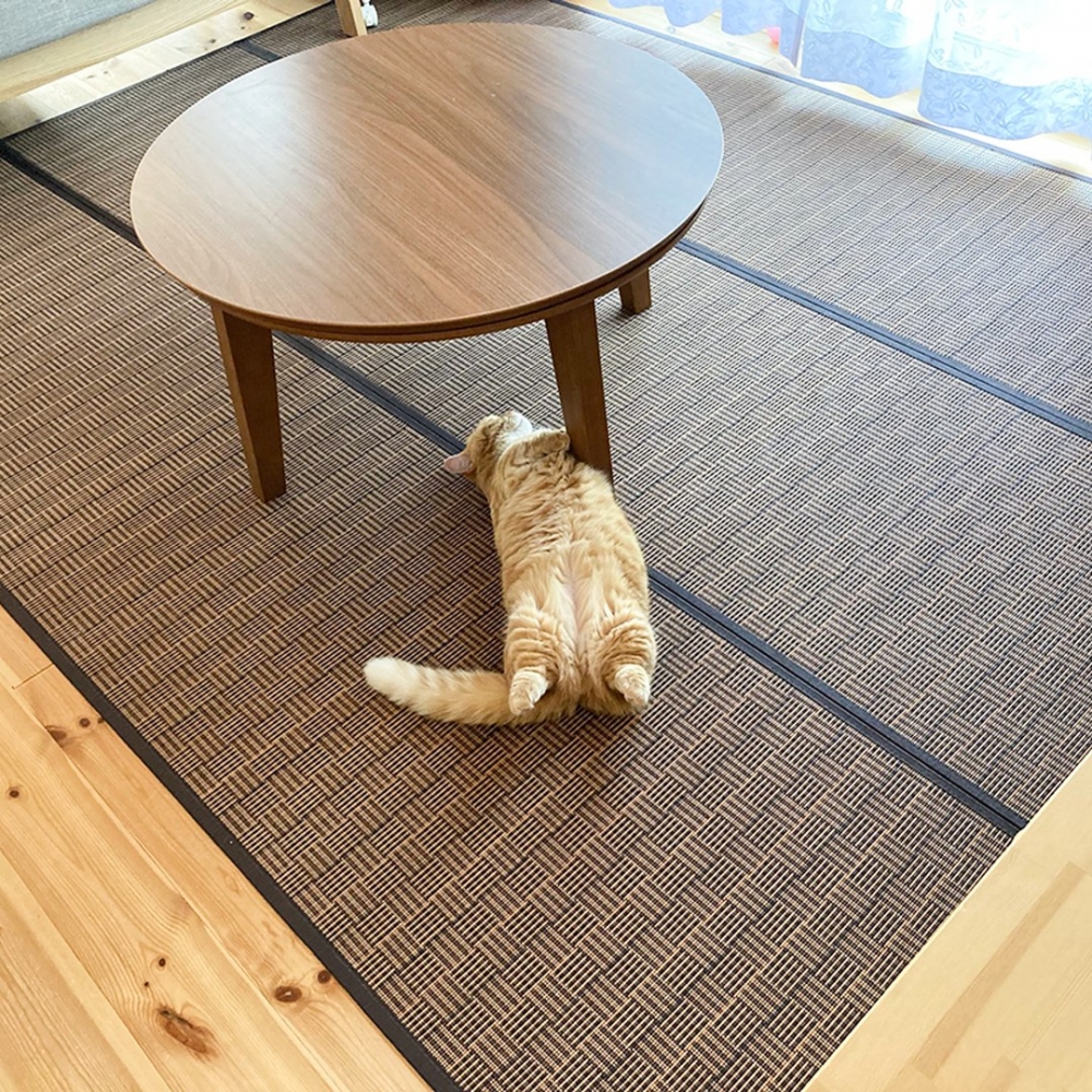 奴才：「這麼可愛誰能去上班呀？！」