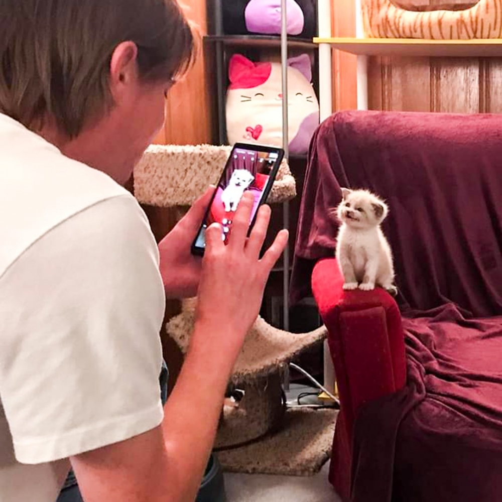 喵:「要把窩拍得好看的喲~」