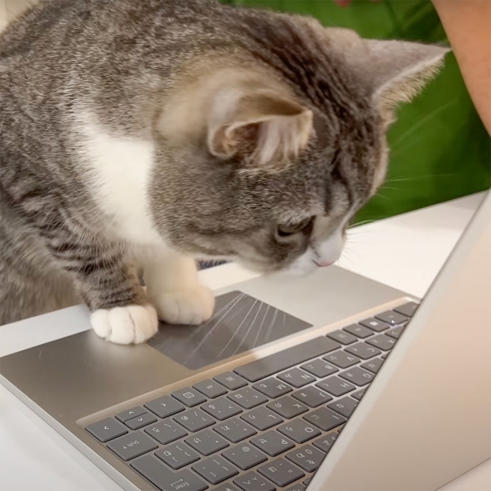 奴才：「我一康復就衝回來！發誓！」