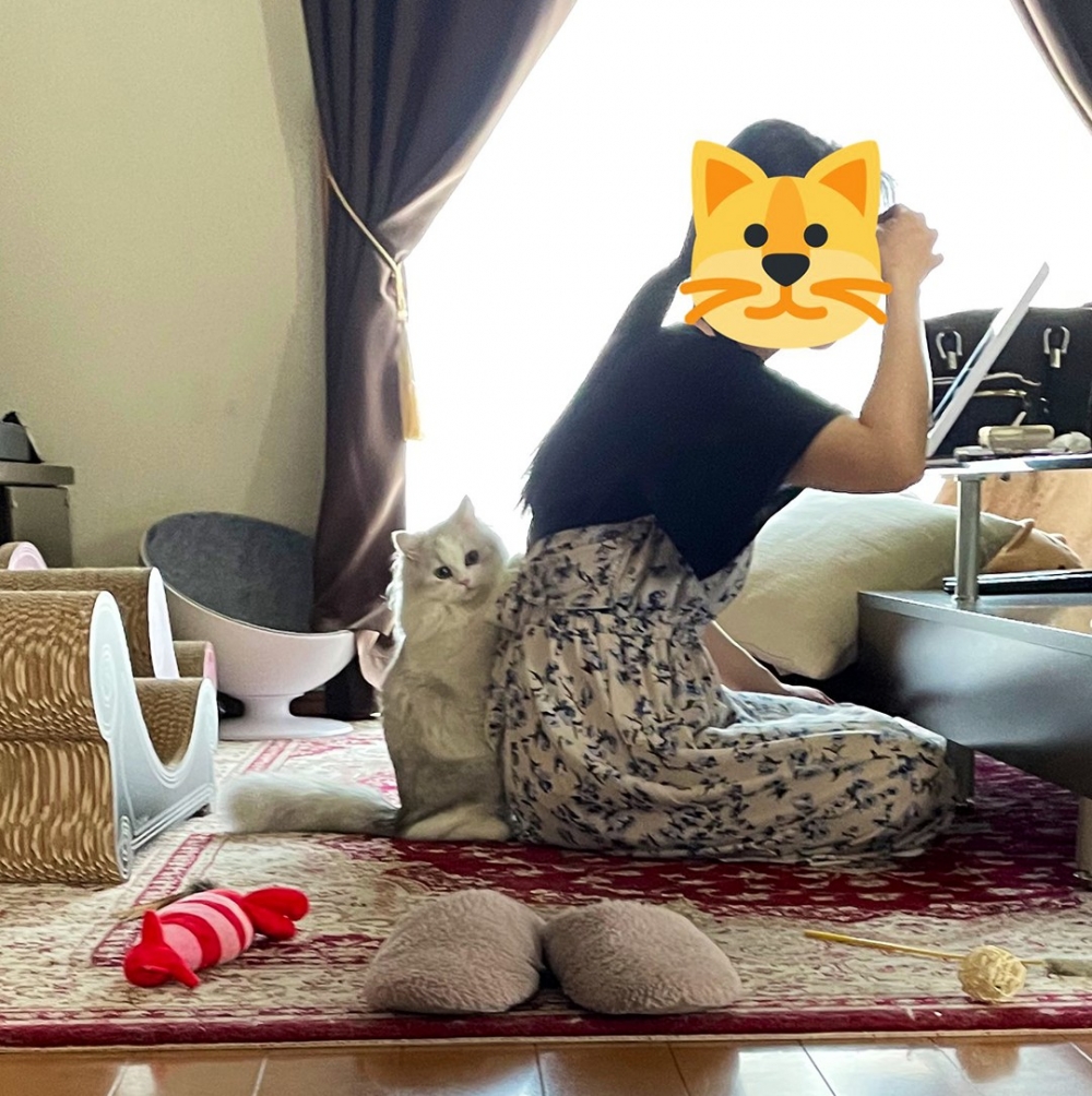 喵:「不給出門!在家陪窩嘛~」
