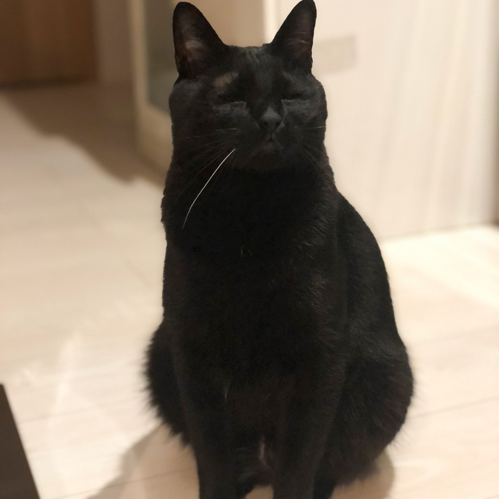 奴才：「讓我找個放大鏡來看主子的五官」