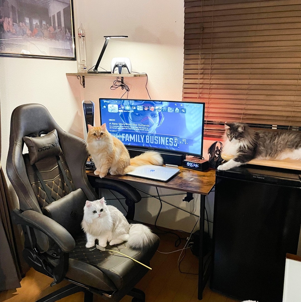 奴才：「這裡···沒有我的位置了QAQ」