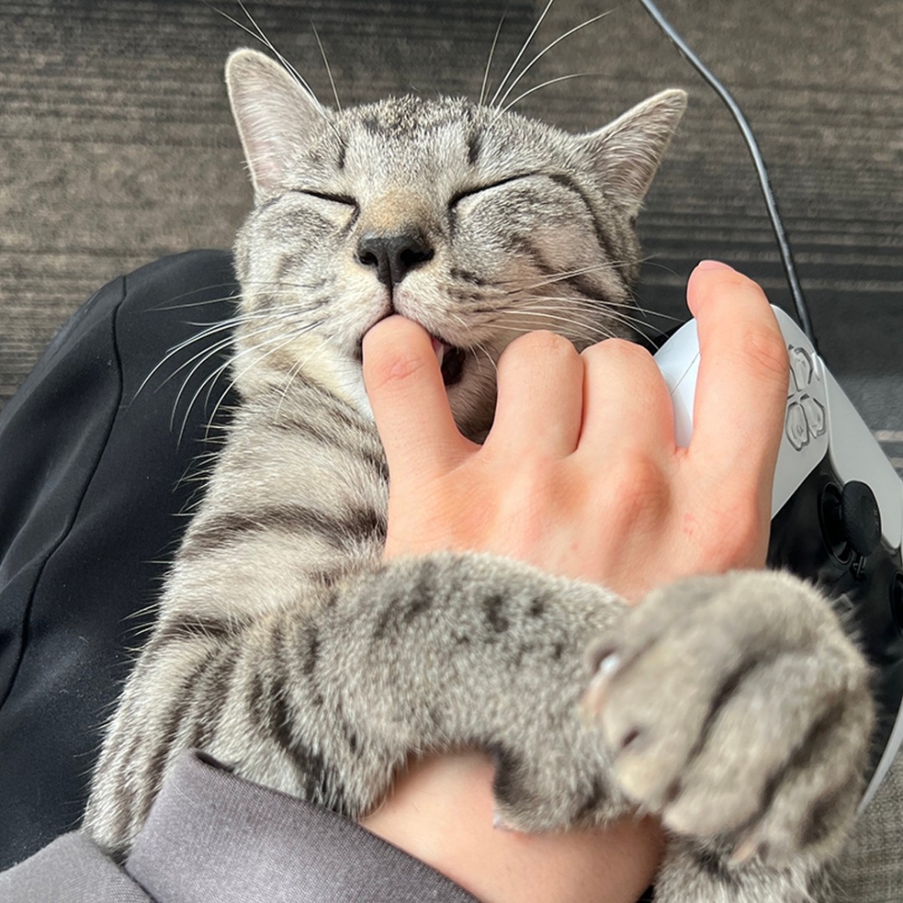 奴才：「一手指奪回法！出招！」