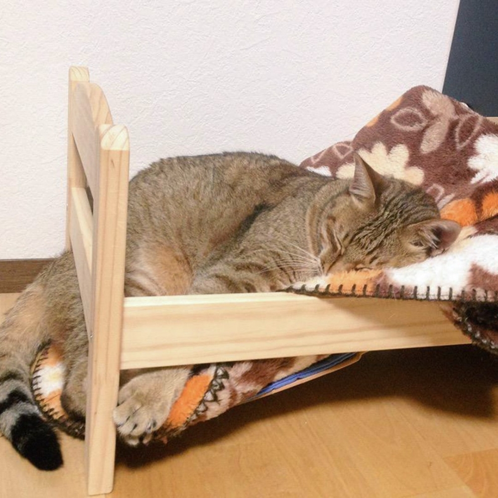 奴才：「這床是···塌了嗎？」