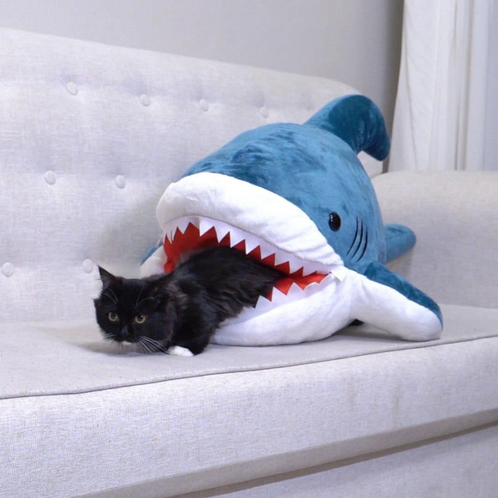 阿嬤：「危險啦！！！」