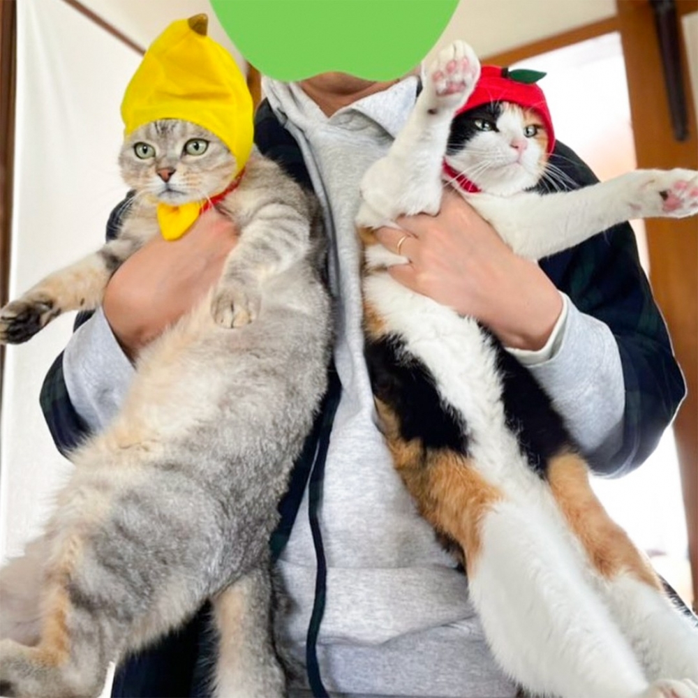 只有奴才笑嘻嘻的照片