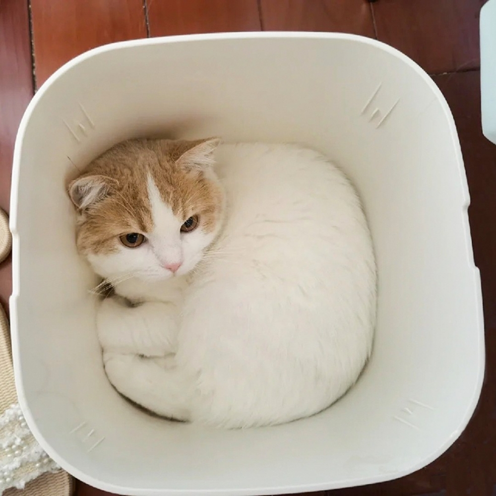 喵：「大驚小怪～朕只是度個估」