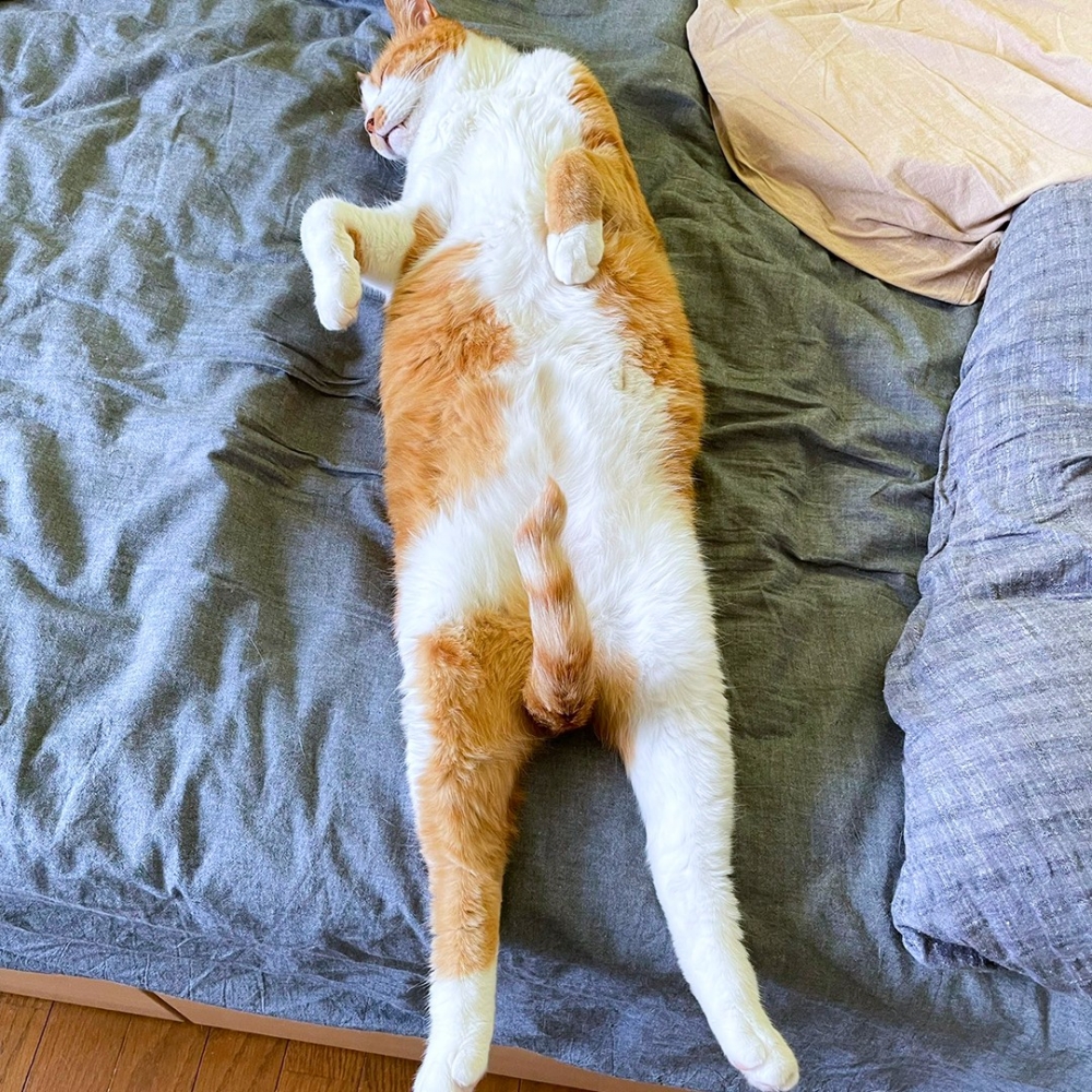 小尾：「Hi～～」