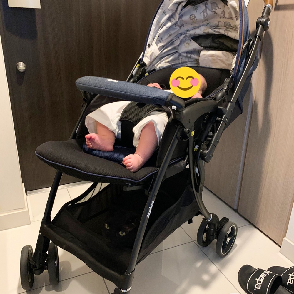 喵：「你看不到朕～你看不到朕～」