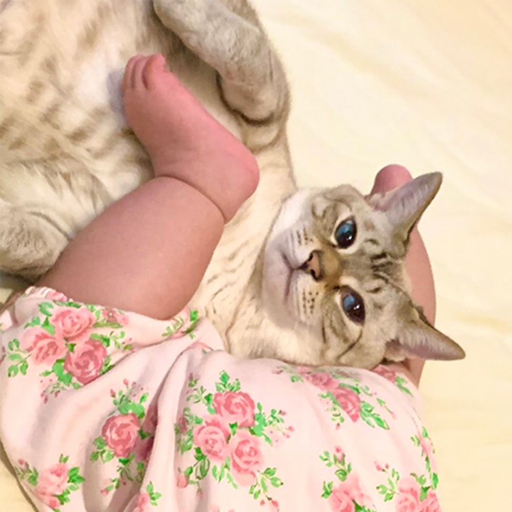 喵：「PP寶地get！」