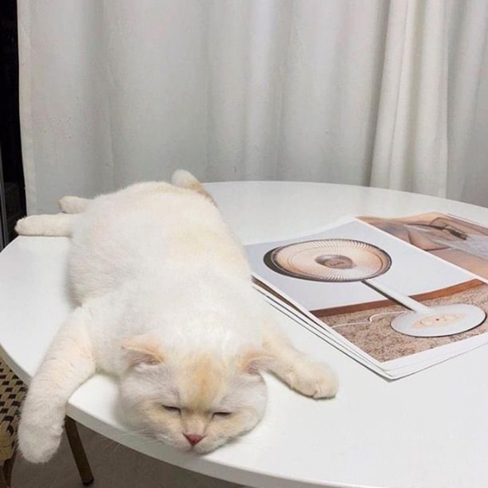 奴才:「嗯?怎麼在這裡斷電了?」