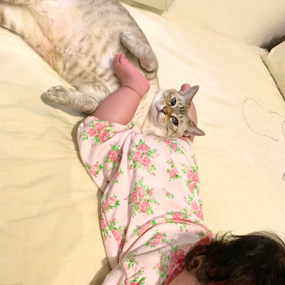 喵：「這就是朕苦尋已久的味道～」