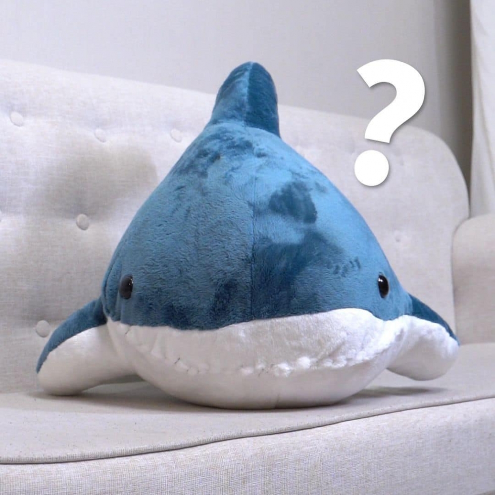 喵：「委屈你了～」