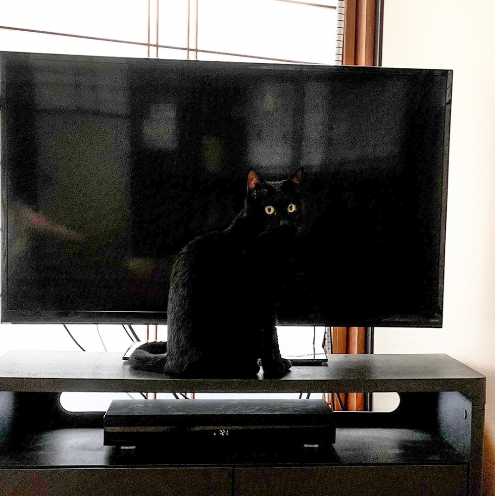 奴才：「哎呀～無所遁形了XD」