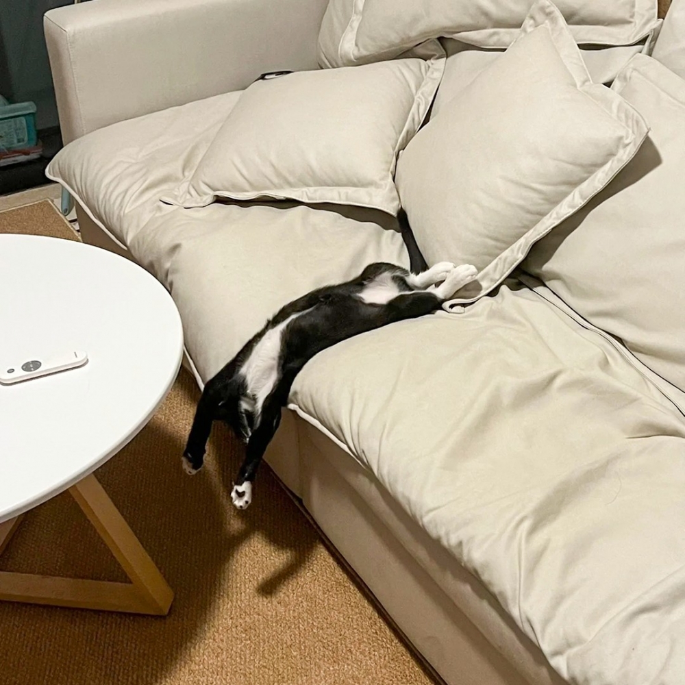 奴才：「主子快流到地上了！」