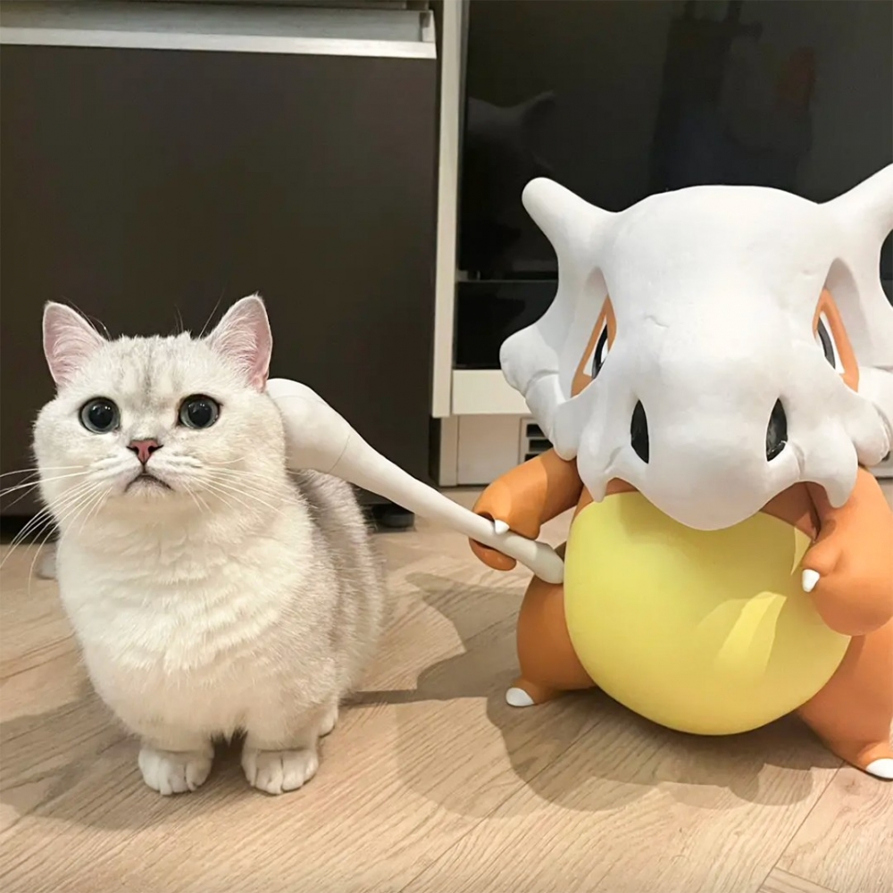 奴才：「站在一起好可愛～」